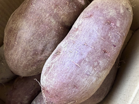 自然栽培土付き紫いも(あや紫)2kg 美容・健康効果たっぷり