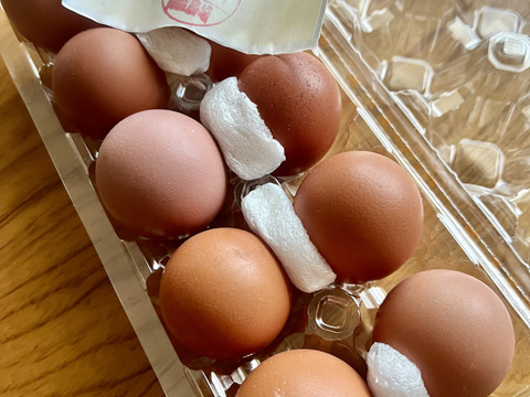 本物の発酵飼料を与えた卵