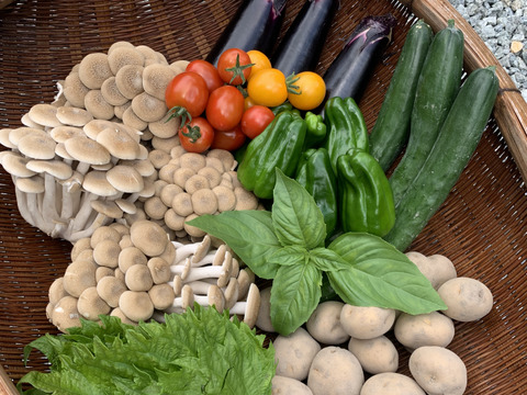 【一日限定1組！】キノコと夏野菜、詰め得ＢＯＸ　８袋のところ10袋以上！