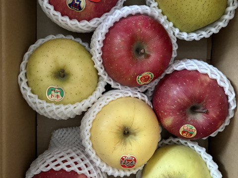 🍎お歳暮間に合います！🍎もぎたてジューシー◆甘さが違う！葉とらず入り品種ミックス🍎贈答用３キロ【冬ギフト】【お歳暮】のし対応