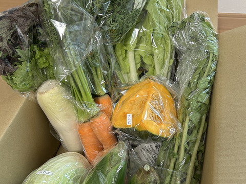 【未来をつくる笑み野菜】宮崎県産☆季節のお野菜セットL(8～9品程度)☆