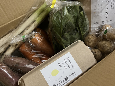 米・野菜・卵のフルセット【送料割安】野菜約5-6種類（農薬化学肥料不使用）と平飼い有精卵10ケとお米3k