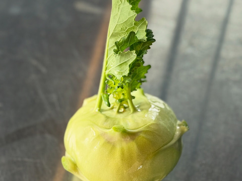 お料理の幅が広がる！季節の西洋野菜Italian selection 80サイズ