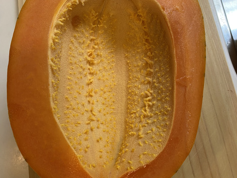 温室栽培のフルーツパパイヤ　1キロ以上（1個か2個）