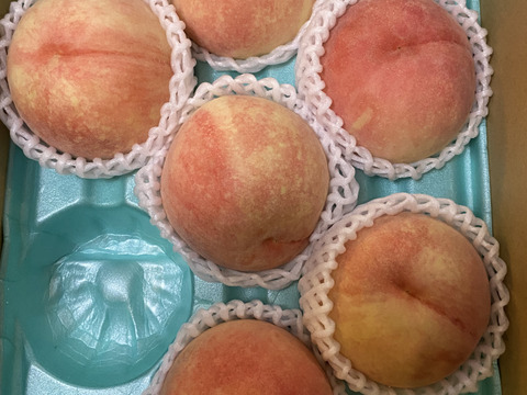 人気品種【川中島白桃】甘みが強いジューシーな桃