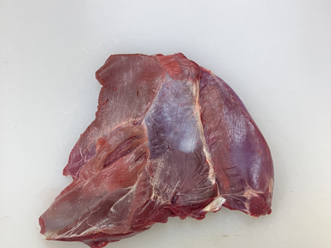 煮込めに最適！濃厚な味わい！鹿肉カタ600g　【ジビエ】熨斗対応可