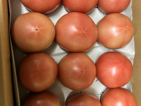 トマト好きさん必見！】七久里とまと（1.8kg）：長野県産のその他
