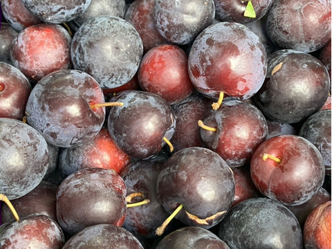 ゴロッとあまいバイオチェリー(1kg)