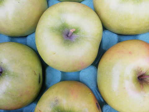 【総決算　RED SALE】グラニースミス　値下げしました。　青りんご　訳あり　家庭専用ご好評販売中、3キロコースアップルパイにりんごジャムに最適！！