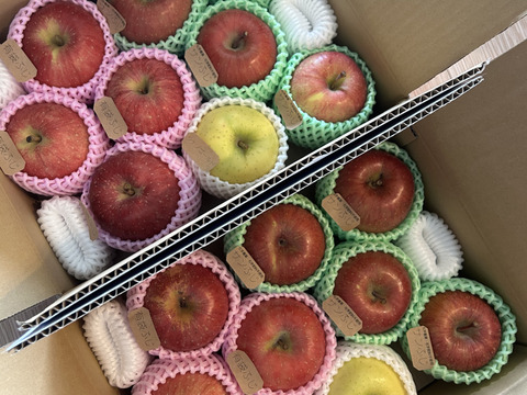 【2箱セット】☆農薬不使用りんご☆と特別栽培りんご(品種おまかせ)詰め合わせ3キロ（８〜１２玉）