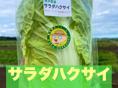 今だけ！６月８日（土）発送〜晴れ晴れファーム☆旬の水戸野菜セット・ニッシー価格2,400円(о´∀`о)