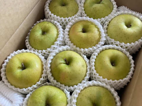 王林好きな方へ【特別栽培/ご家庭用】王林３キロ