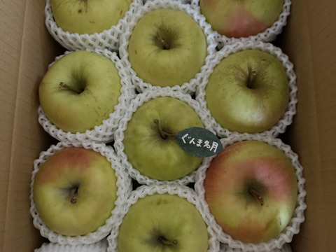 【冬ギフト】🍎『希少！』ぐんま名月🍎約3キロ8〜11玉(家庭用)ID177902