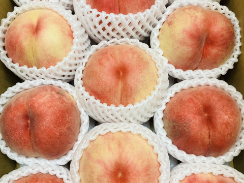 【ご家庭用】朝どれモモ 品種おまかせ約3㎏（9玉～12玉）