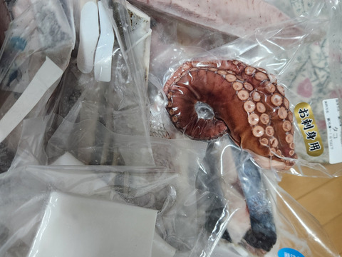 福ギフトセット(切り身、刺身MIX10袋)  【冬ギフト】