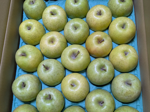 青森県産りんご「王林」わけあり 小玉 キズ有 約5kg【甘い・光センサー選果】