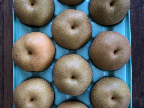 豊水　家庭用5㎏超特大10玉