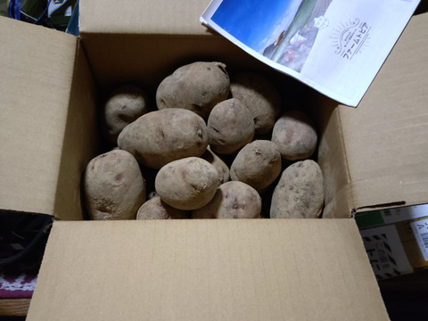 北海道産グランドペチカ5