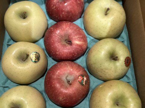 【3種食べ比べセット】サンふじ　シナノゴールド　王林　（9個～12個）3キロ箱使用