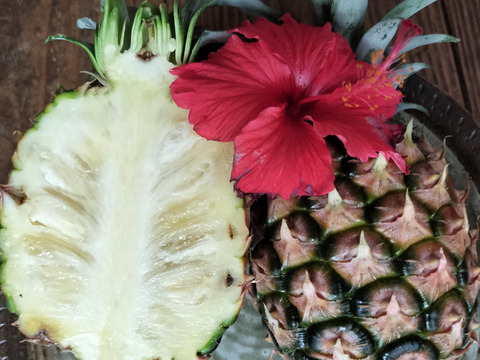 【甘熟濃厚ピーチパイン】石垣島産３玉(約２㎏)【冷蔵発送】