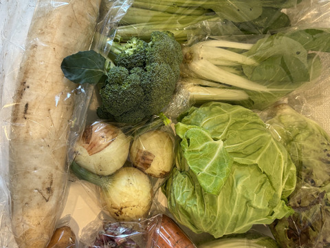 【10日分の野菜！】旬の野菜セット9～12品【農薬・化学肥料不使用】
