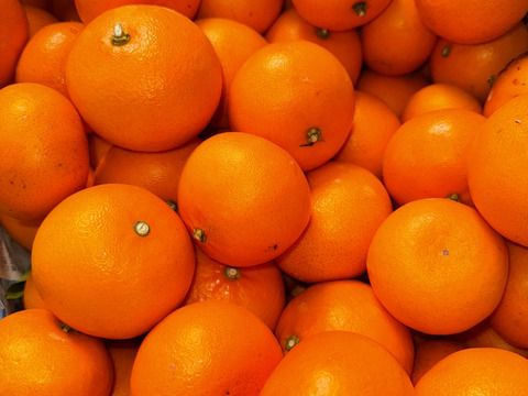 【訳ｱﾘ小玉！】【濃厚でジューシー♪】希少品種 せとか みかん約７㎏『柑橘の大トロ』と言われるくらい果汁たっぷりとろあま！瀬戸内の離島より！皆さん大好き小玉です✨