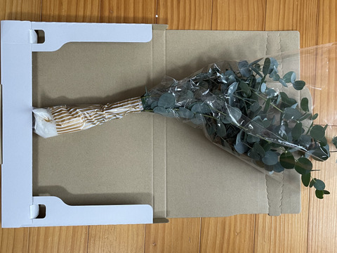 【にこにこメール便・品評会銀賞入賞！の自信作】リースなどにも・ユーカリお手軽価格🐨スーっとした甘い香りがご好評・花の産地山形県さがえ産・【ユーカリ・グニー】30cm~40cm　10本　花のある生活🌿