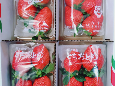 とちぎの完熟いちご３種の食べ比べセット＋トクトクいちごの宝石箱（計2箱）
(とちあいか・スカイベリー・とちおとめ)
【いちご食べ比べ】