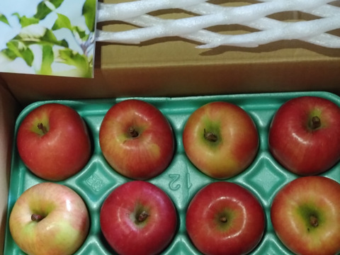 🏆2025年りんごGP金賞受賞🎊青森県産りんご　蜜たっぷり葉とらず高徳　家庭用3㎏【9～12個入り】