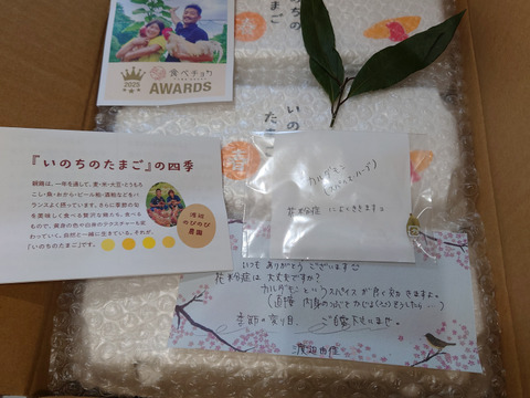 のびのび平飼い『いのちのたまご』10個入り×3パック