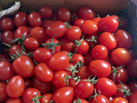 『訳ありA品・アイコ♪』2kg箱:ヘタあり・ヘタ無しランダム♪ちょうどいい酸味と甘味あり満足