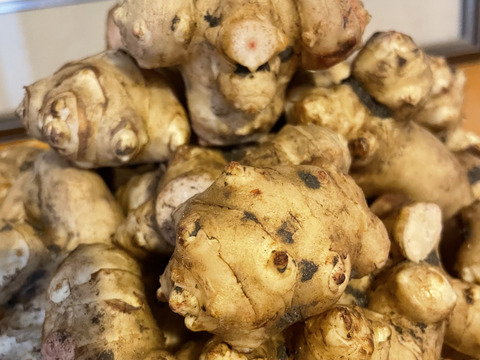 【水が綺麗な土地で栽培】菊芋3kg 【農薬を使わず栽培】【話題のスーパーフード】