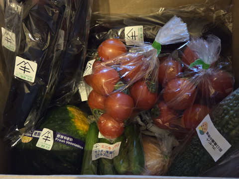 たまきちさん専用

田口農園徳島「イチオシ旬野菜セット」
『カボチャ1個、ふわとろ茄子5本、フルティカ１キロ、玉ねぎ6個（約1.5Kg）、ミニきゅうり5本』