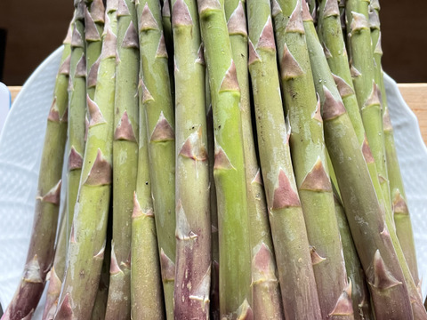 【北海道産】風のアスパラ 　栽培期間農薬不使用　サイズミックス500g