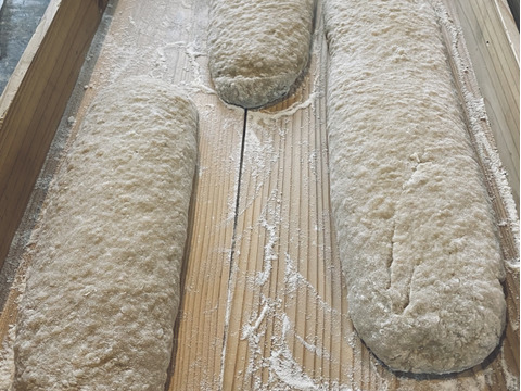 ＼季節のおすすめ／【12月つきたて】特別栽培米もち米の杵つき玄米　のし餅【約350g】