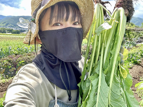 (60) 信州産 [レシピ付] 漬物以外もアレンジ自在！春の野沢菜