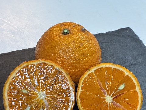 【家庭用】春に楽しむ、さっぱりジューシーなみかん、なつみ。