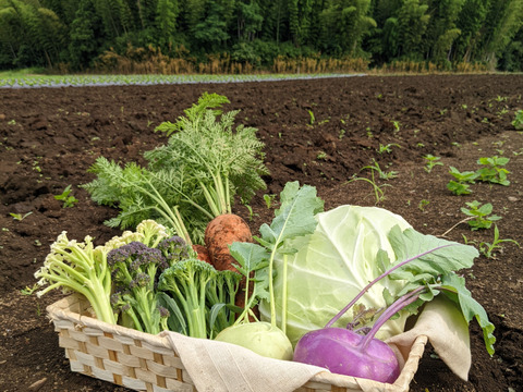 【アワード受賞福袋】有機野菜セット９品