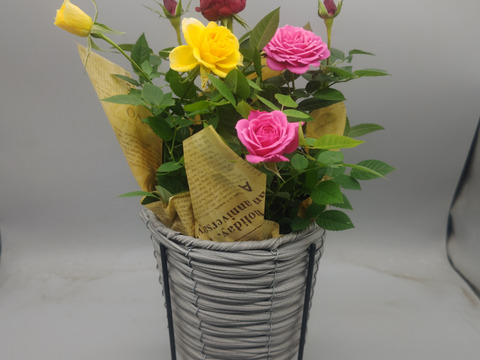 早割価格!!【母の日ギフト】ローズスタンドバスケット・・・4/27-5/8発送