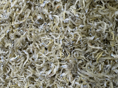 倉橋ちりめん　５００ｇ