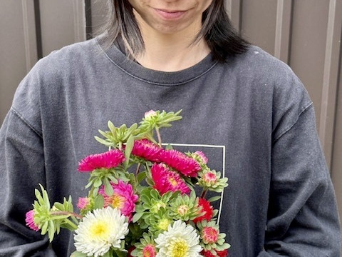 【旬のお花！】アスター10本　おまかせMiX（30〜50cm）