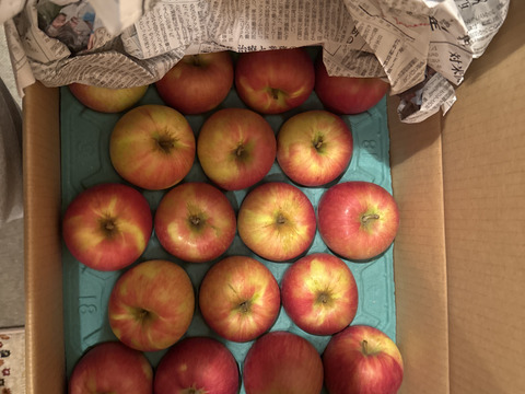 【☆特に甘～いりんご☆】約１０キロ 青森県産りんご「樹上完熟葉とらずつがる」家庭用厳選品