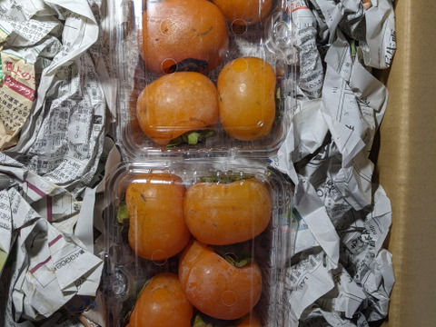 柿、ふじりんご、シルバーベル