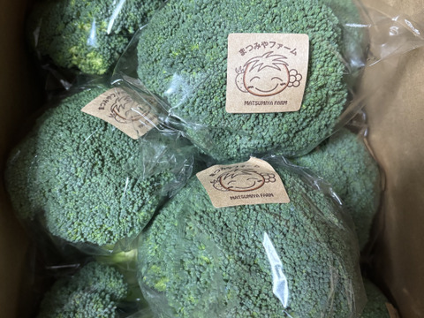 筋肉もりもり！ブロッコリー