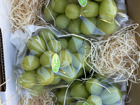 農林水産大臣賞受賞のシャインマスカット3房(約1.8k)