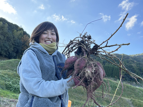 昔ながらの懐かしい味！さつまいも2kg