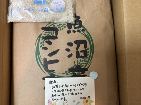 【定期便/毎度おまけ付】感動の甘み、いつも食卓に。たかはし家の魚沼産コシヒカリ（令和7年米/5kg）