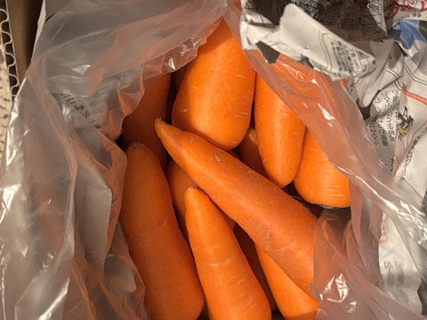 【貴重品種】最上等級✨食卓を彩る絶品人参❗️5kg！甘みたっぷり！生でも美味しい！料理しやすいサイズをお届け！食卓に鮮やかなオレンジ色を🧡