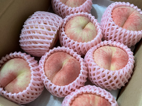 【冷え冷えクール便】【夏ギフト】【お中元】安野農園の「恋する甘さ」あかつき秀品5〜10玉（2kg）［8月上旬〜］