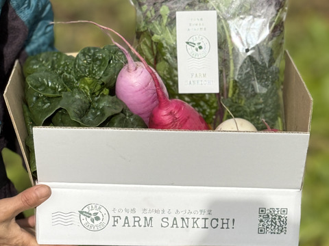 信州をお試し【旬彩野菜】BOX２～3人前　【ゲン担ぎ福袋】新年にぴったり紅白の野菜！カラー大根（紅）＋カブ（白）＋葉物野菜のセット。無施肥栽培・長野県安曇野産